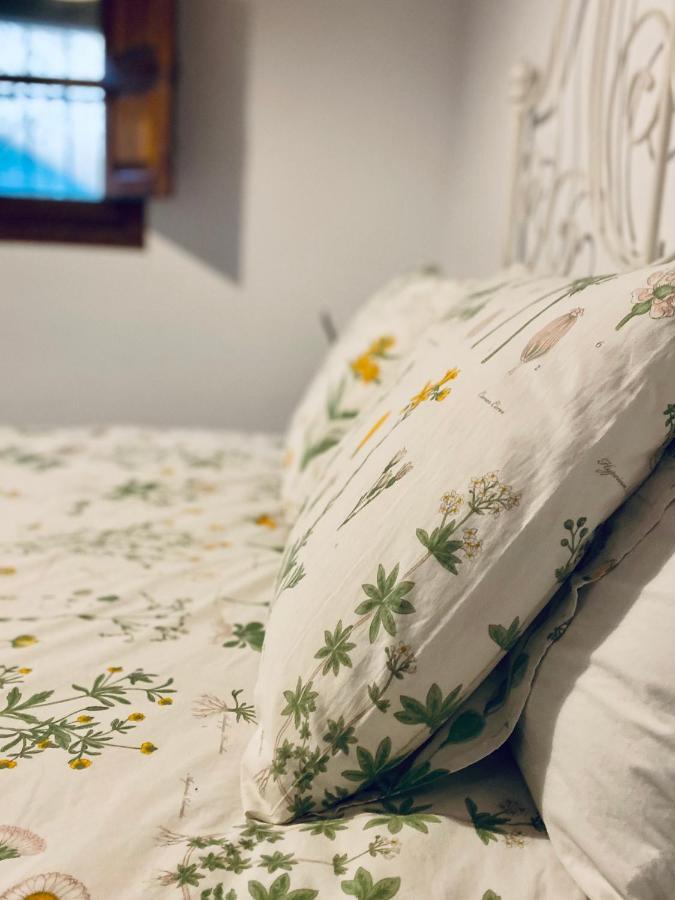 푸엔테에리도스 Casa Papiqui 빌라 외부 사진