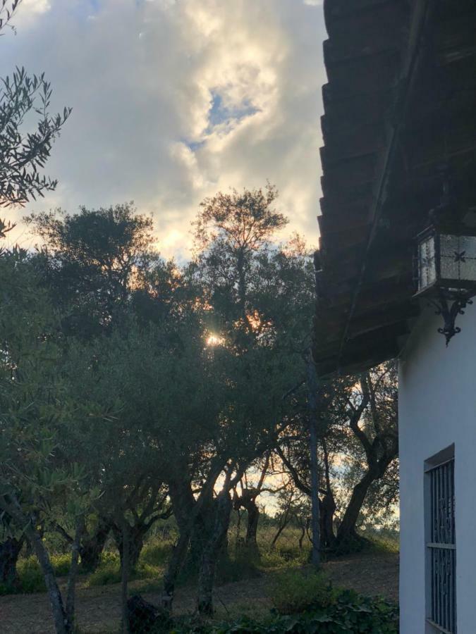 푸엔테에리도스 Casa Papiqui 빌라 외부 사진